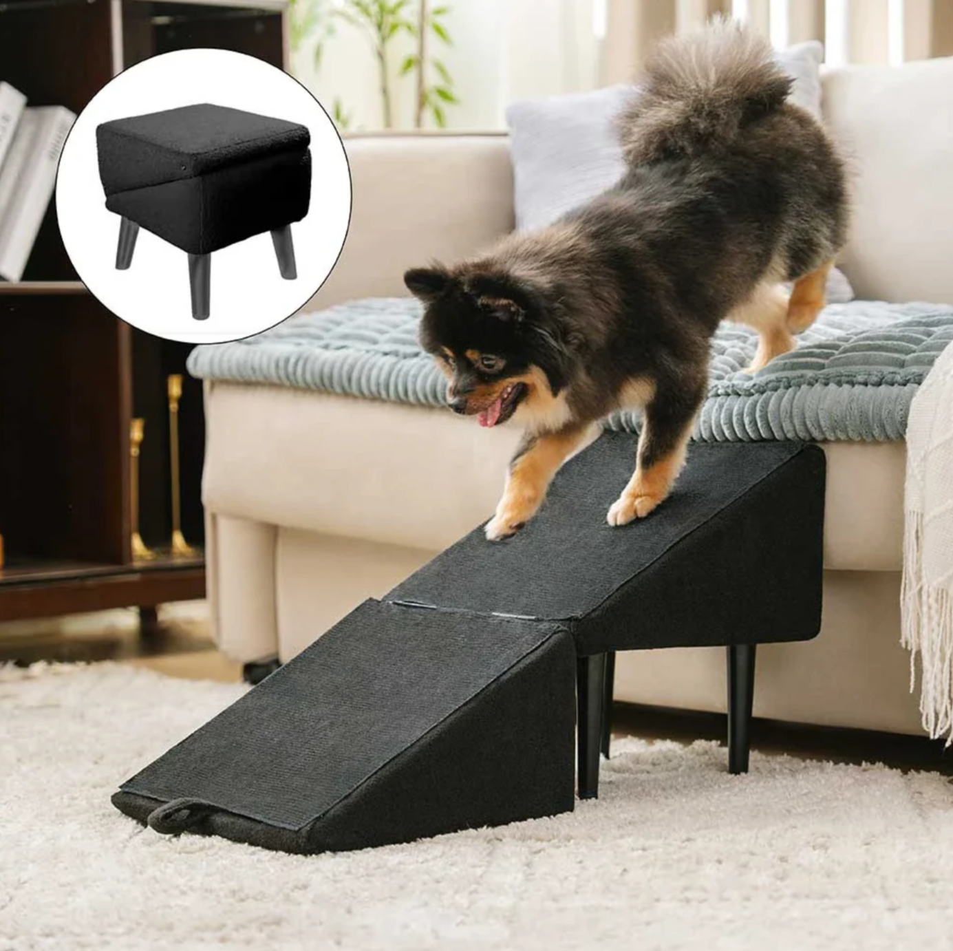 Puff 2-in-1 convertibile a rampa per cani