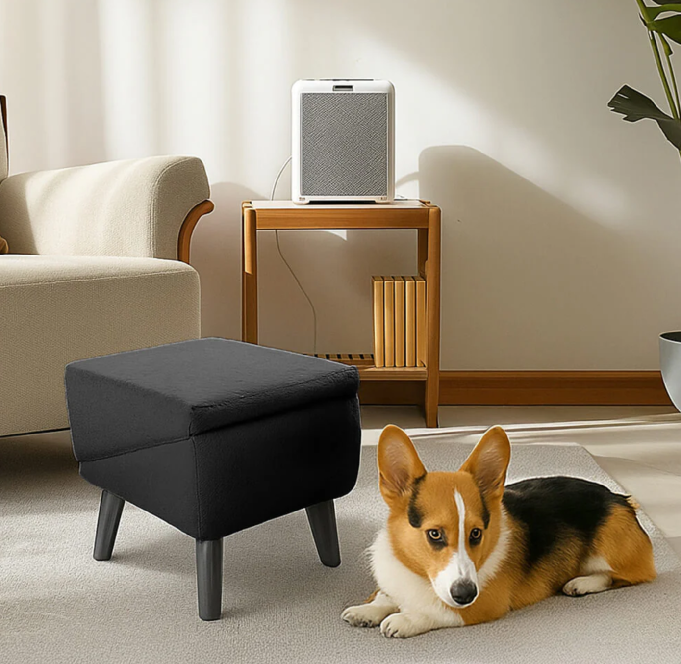 Puff 2-in-1 convertibile a rampa per cani