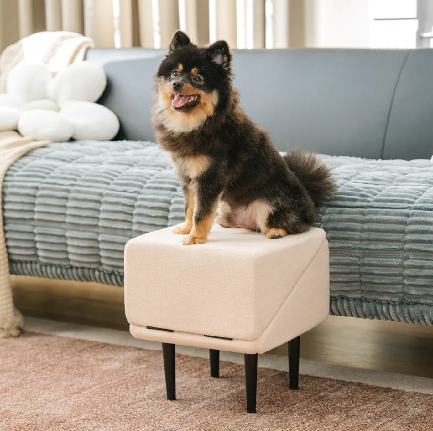 Puff 2-in-1 convertibile a rampa per cani