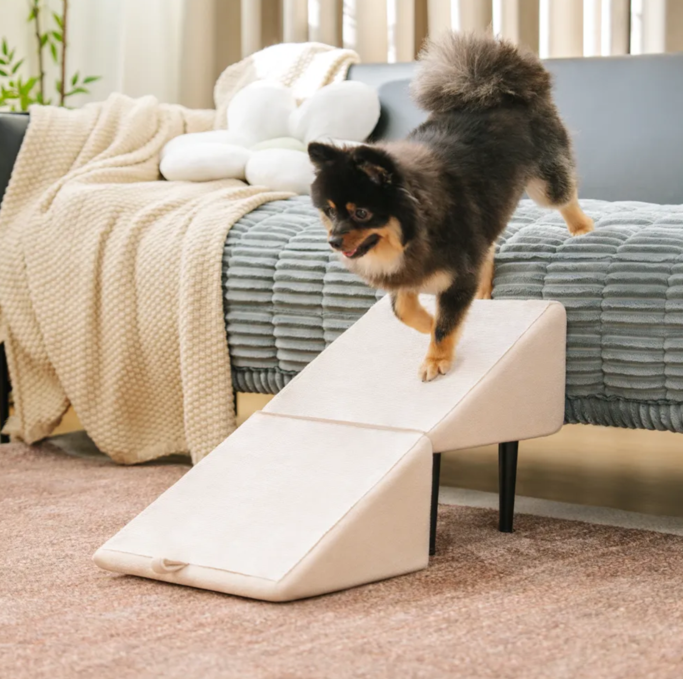 Puff 2-in-1 convertibile a rampa per cani